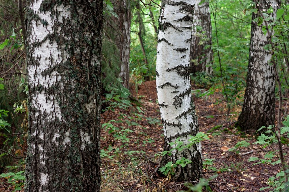 Photo 2665284