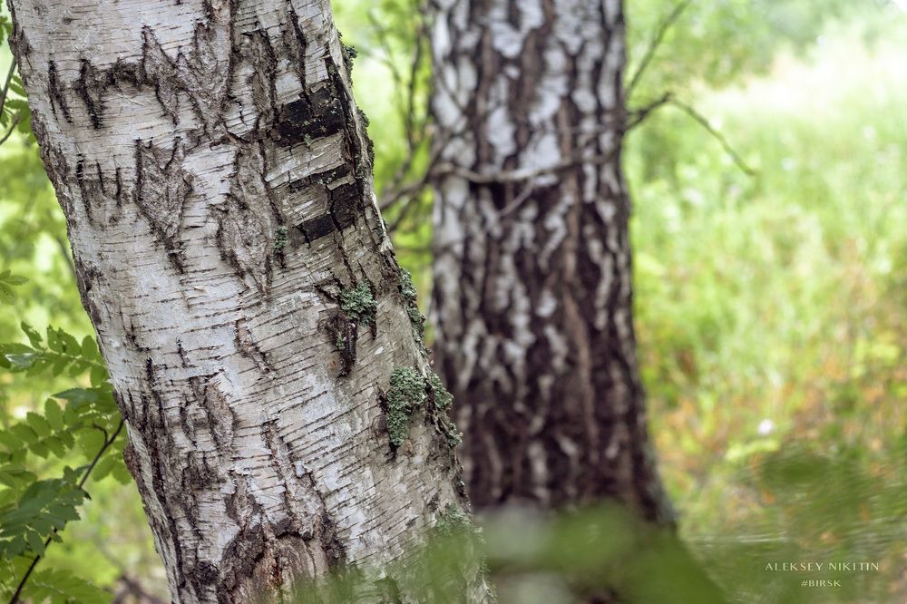 Photo 2665285