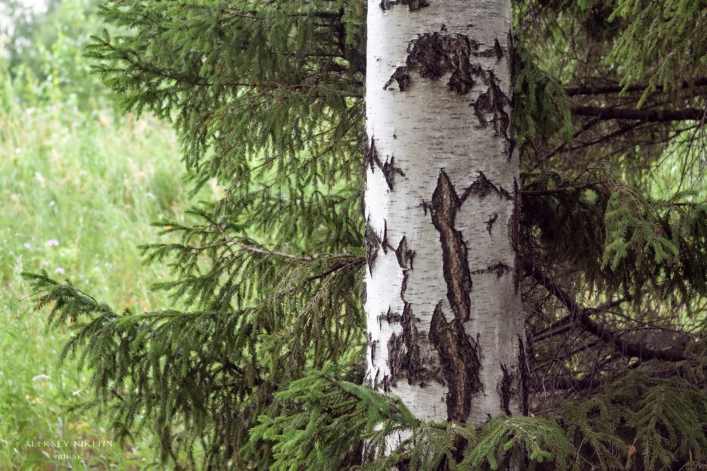 Photo 2665286