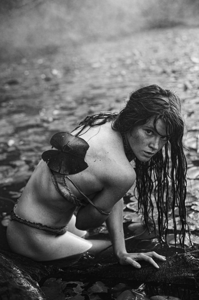 Photo 2666286