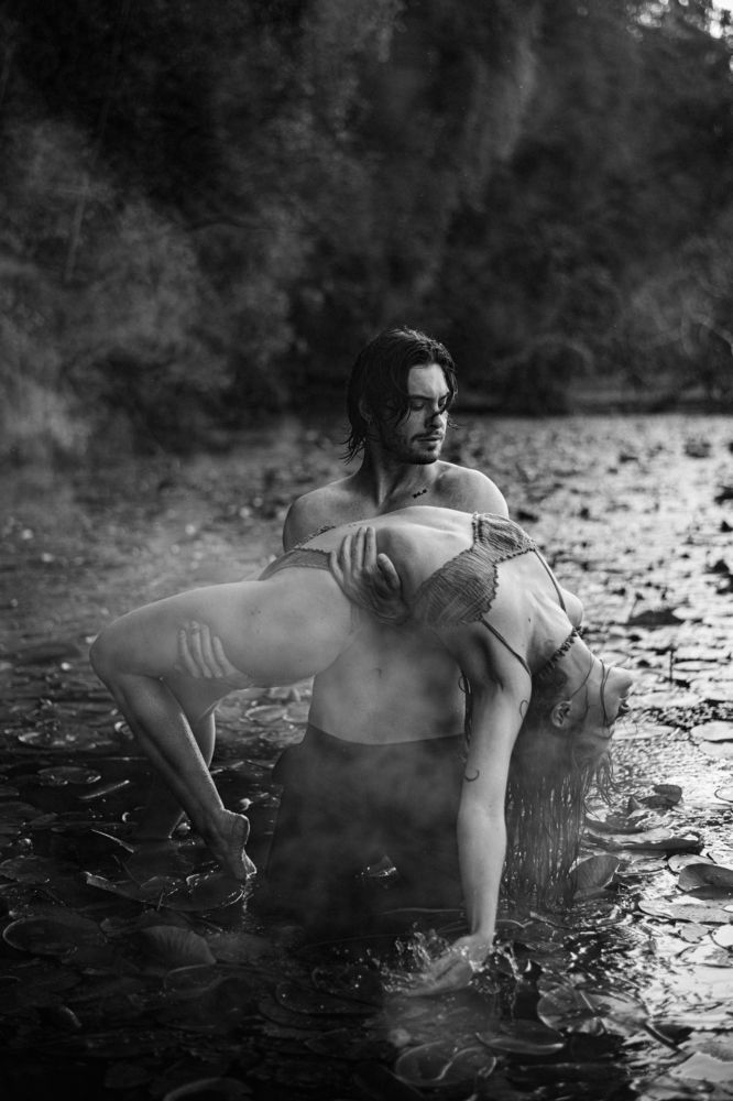 Photo 2666291