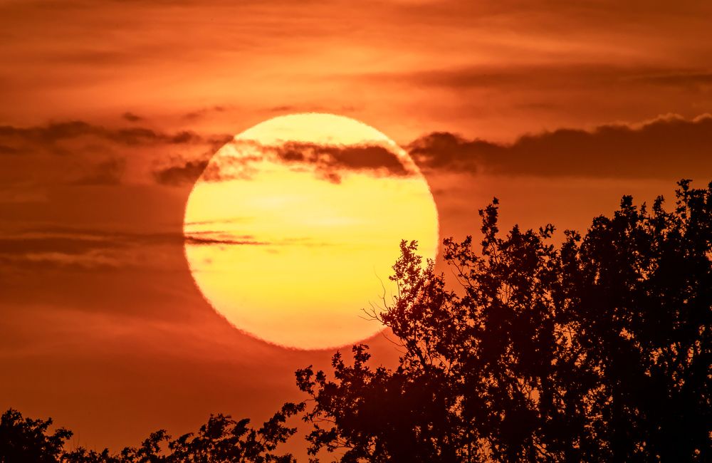 На рассвете..