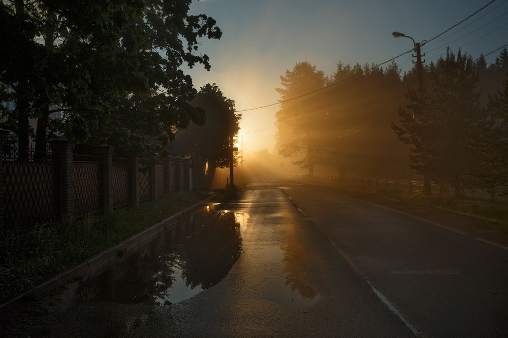 Утро в Павловске