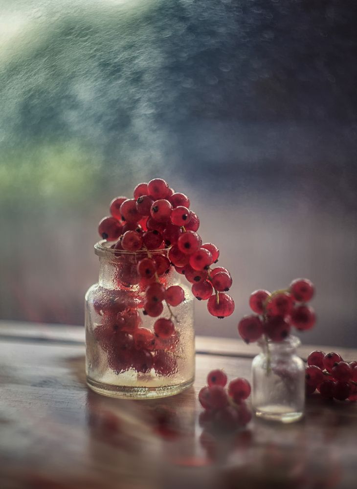 Photo 2668272
