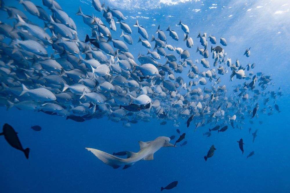 Underwater