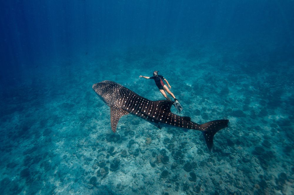 Underwater