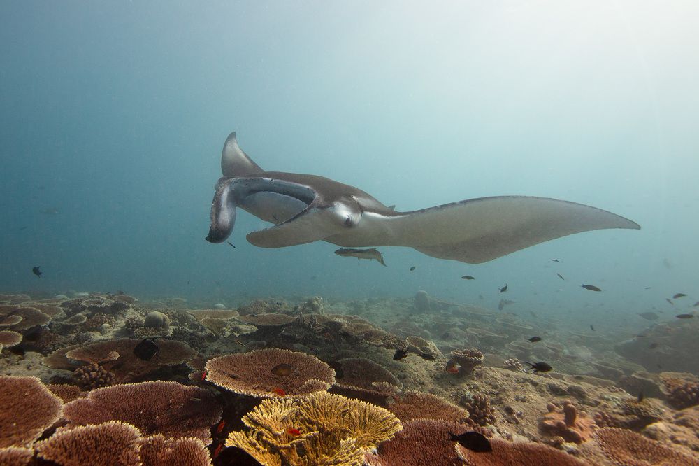 Underwater