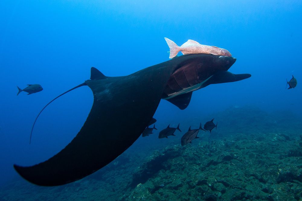 Underwater