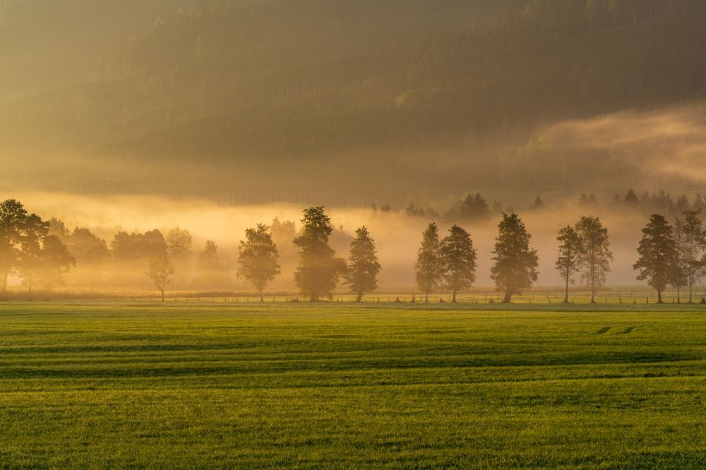 Photo 2669787