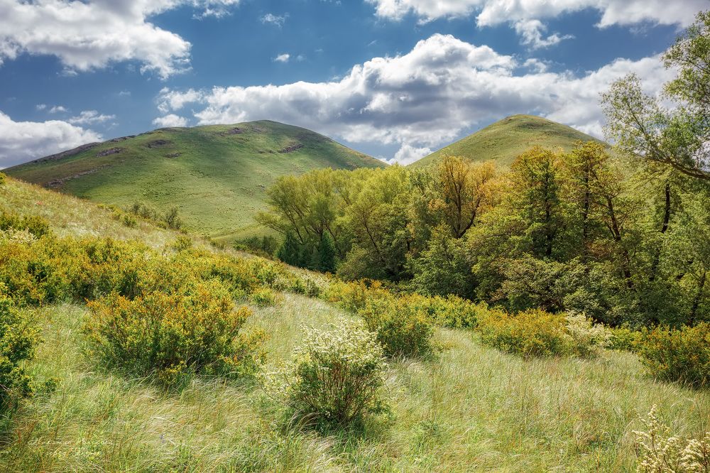 Долгие горы хребта Карамурунтау