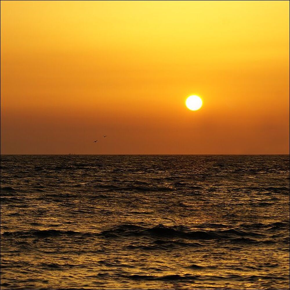 8.17 pm