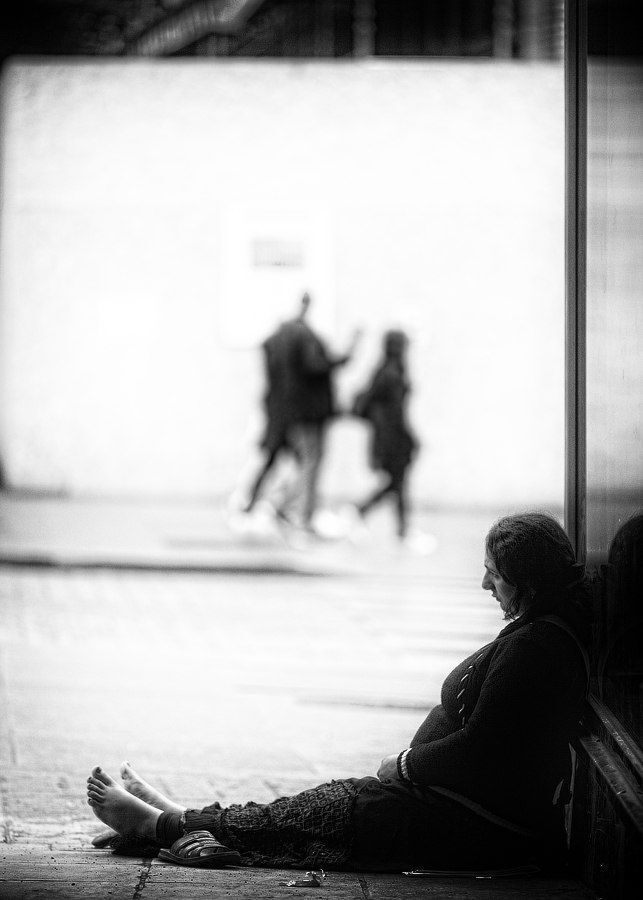 Photo 267361