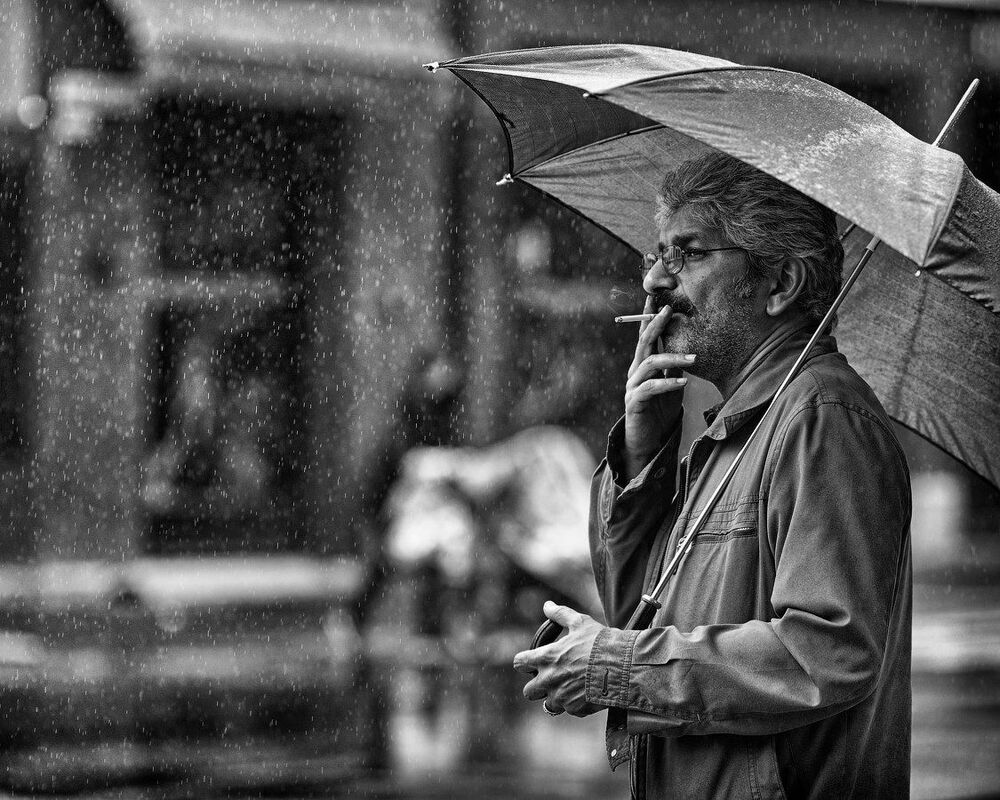 Photo 267363