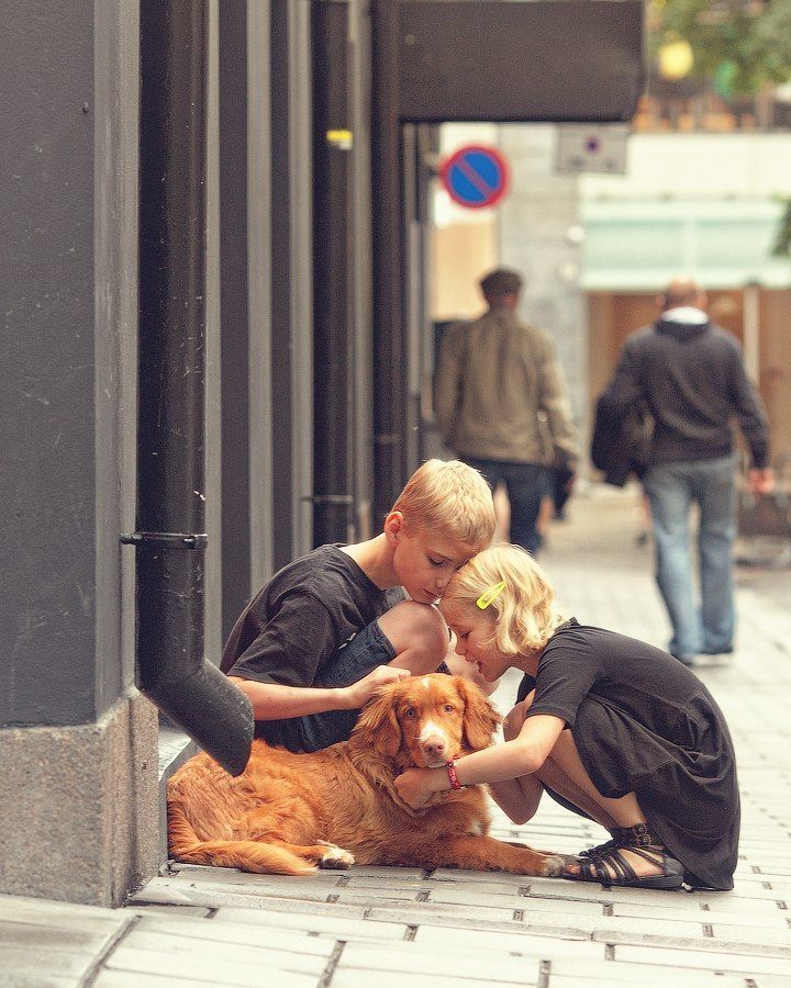 Photo 267368