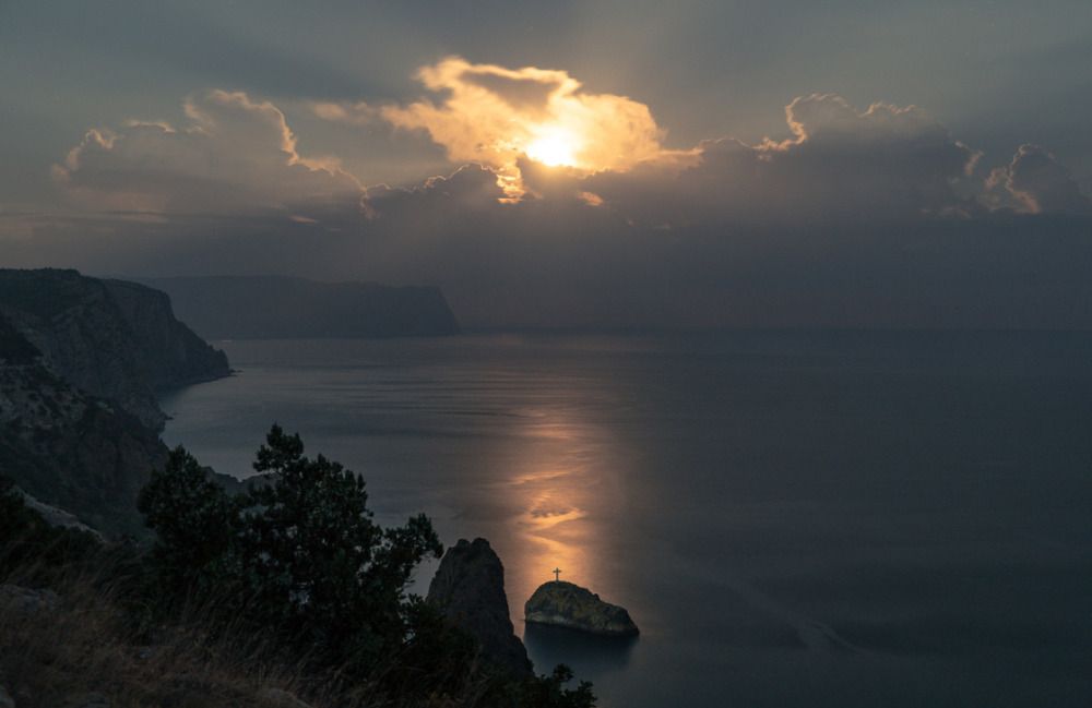 Крымская сосна