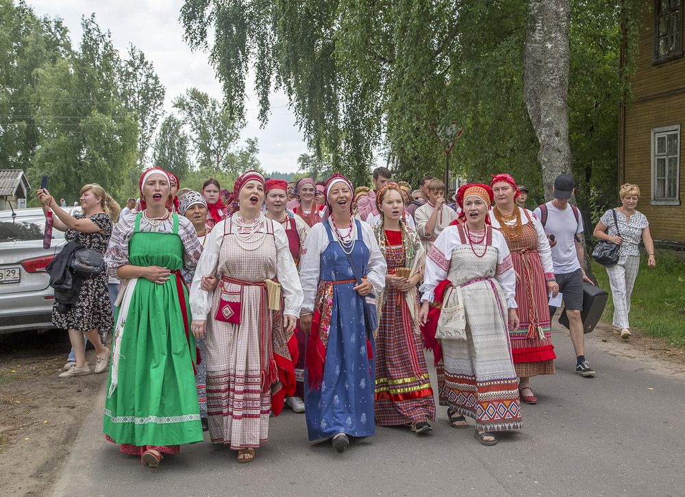 Сольвычегодские приплывухи