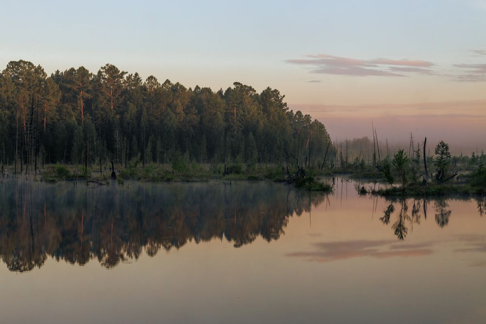 Пейзаж в кадре