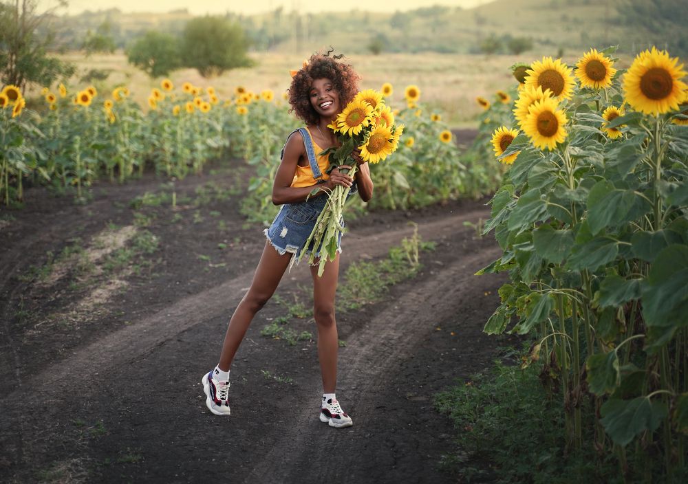 Sunflowers