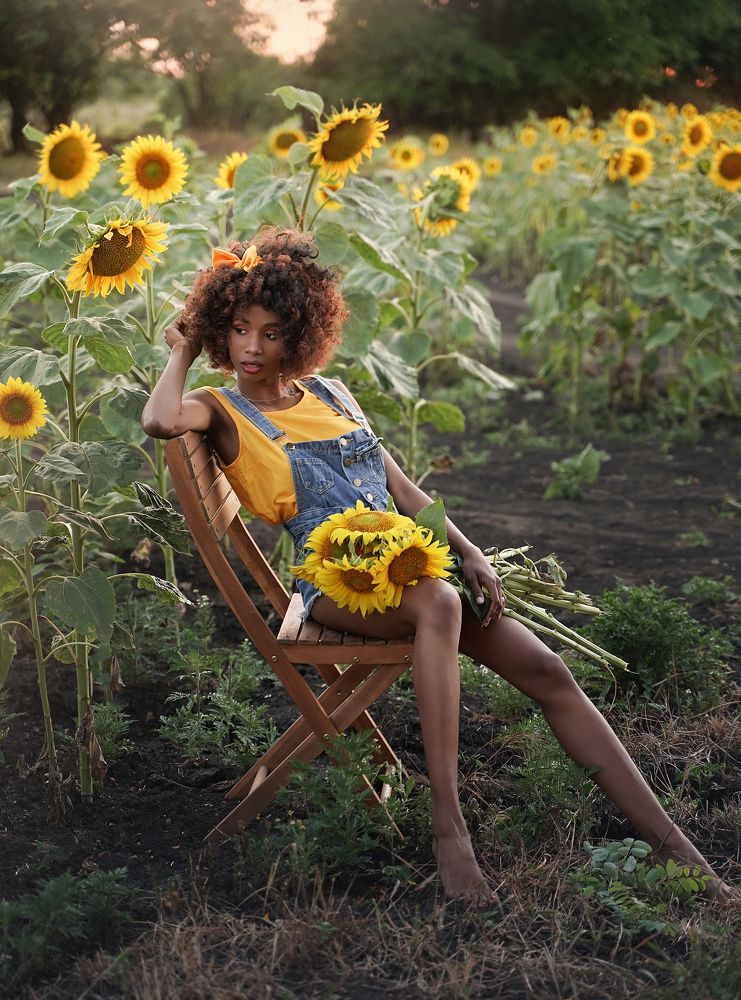 Sunflowers