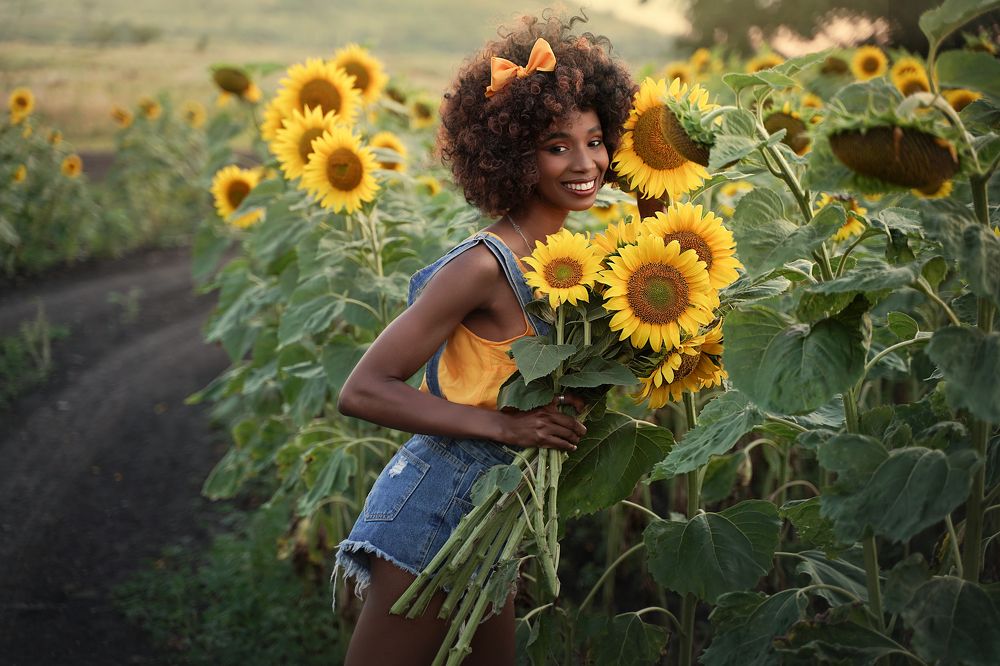 Sunflowers