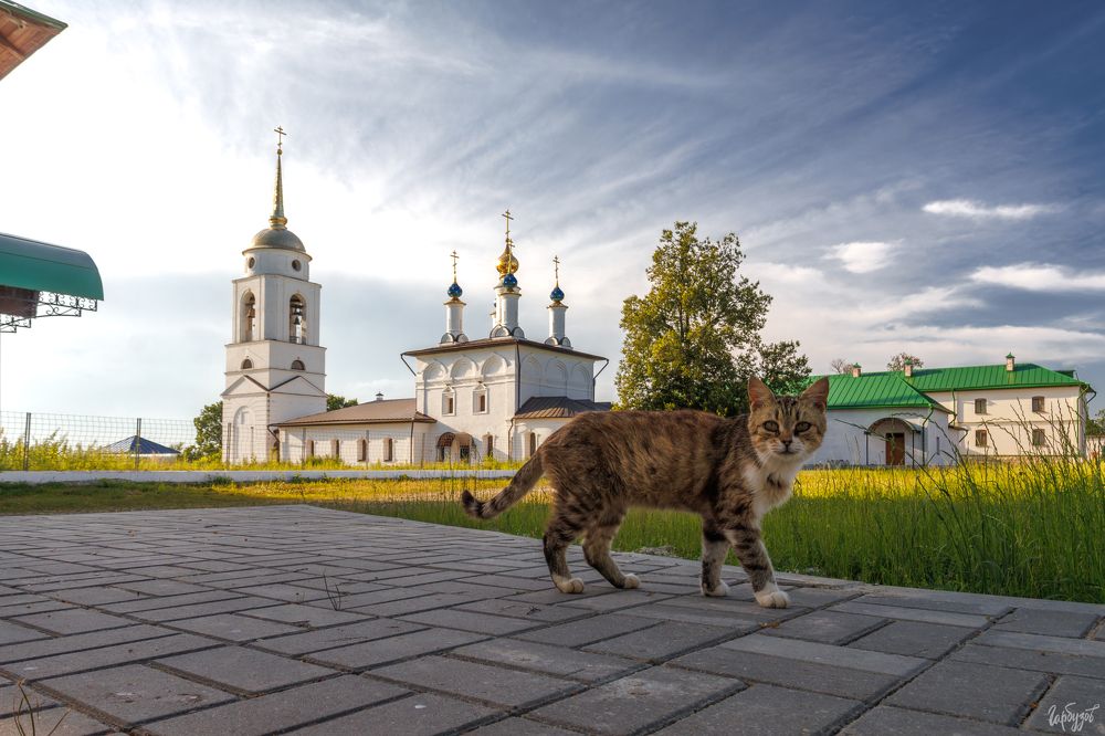 Лихвинский Покровский Добрый мужской монастырь. Тульская область.