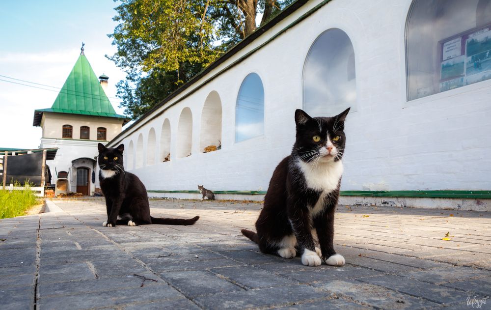 Лихвинский Покровский Добрый мужской монастырь. Тульская область.