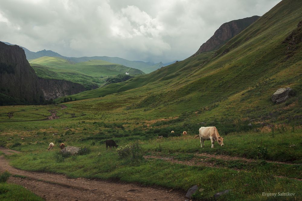 Кабардино-Балкария, лето