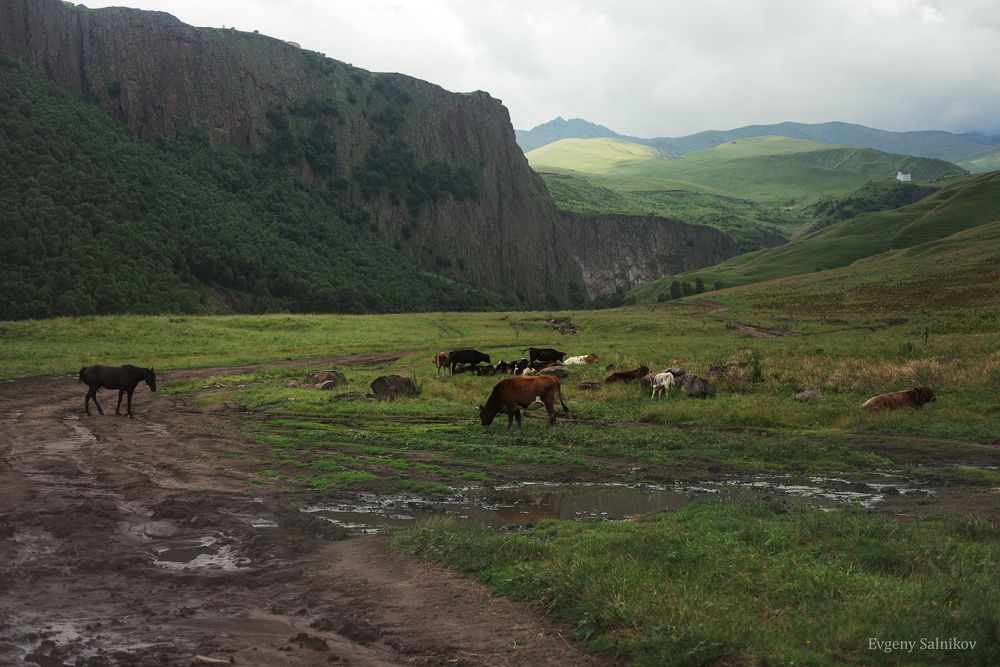 Кабардино-Балкария, лето