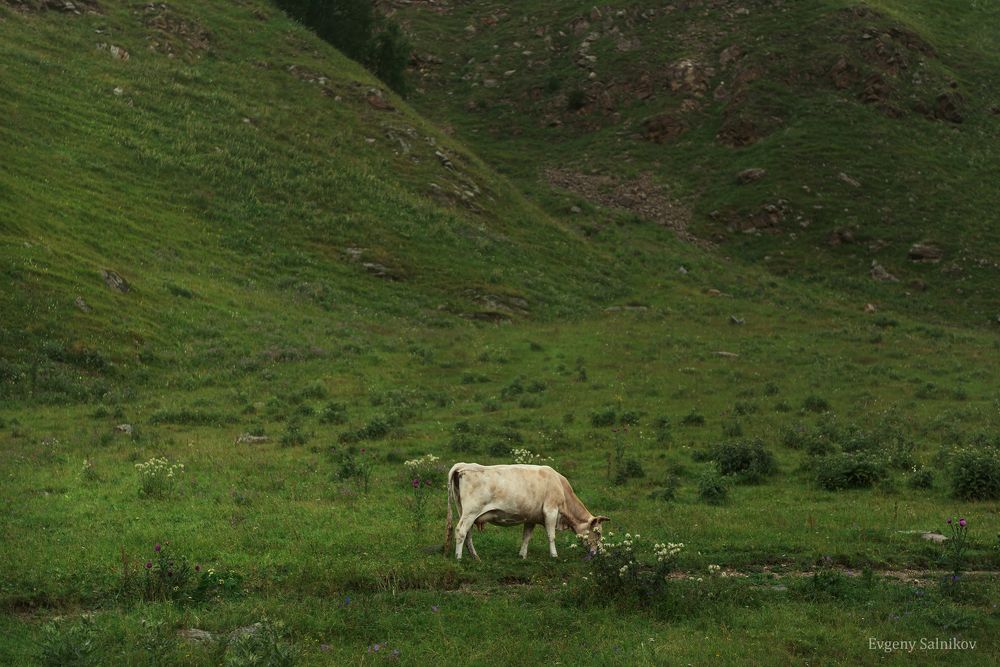 Кабардино-Балкария, лето