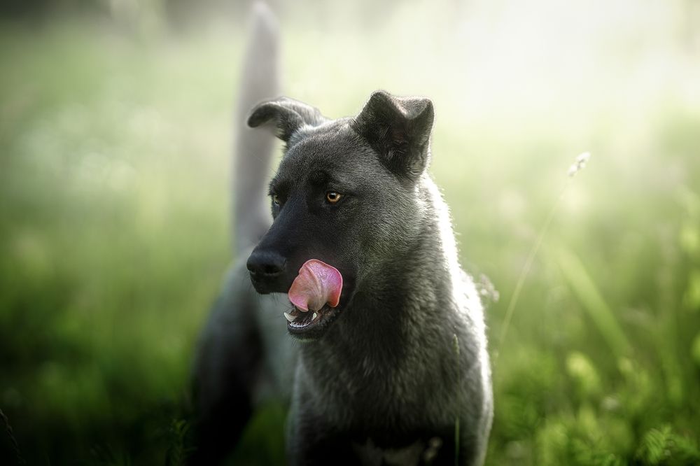 Photo 2672622