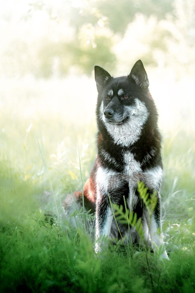 Photo 2672623