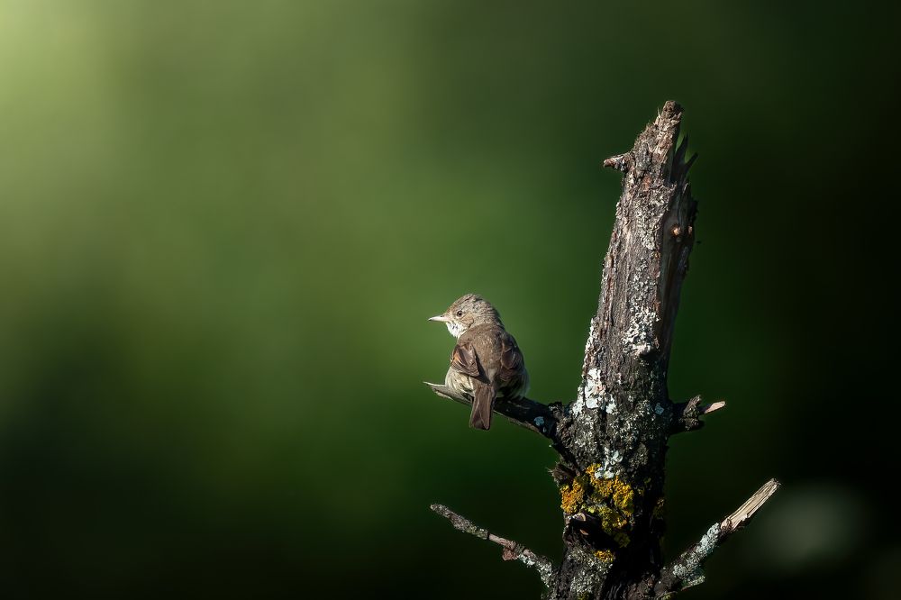 Photo 2672626