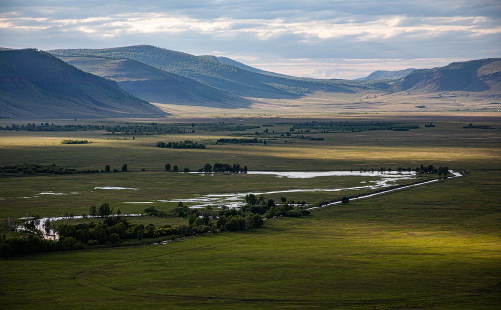 Photo 2672889