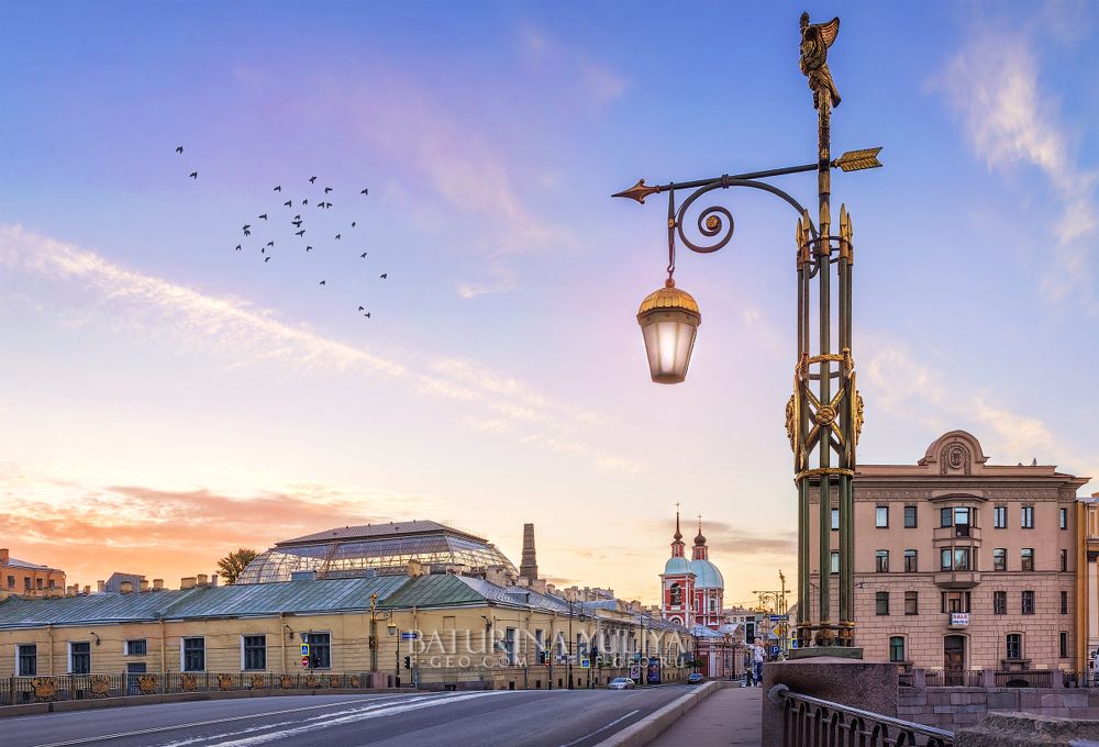 Пантелеймоновский мост в Санкт-Петербурге