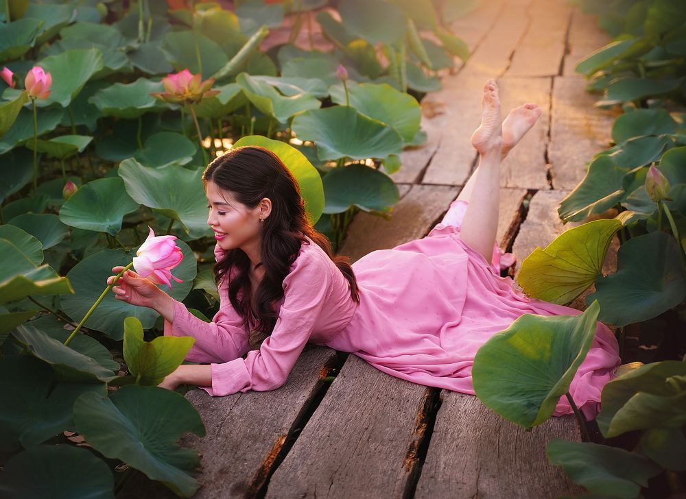 Lotuses