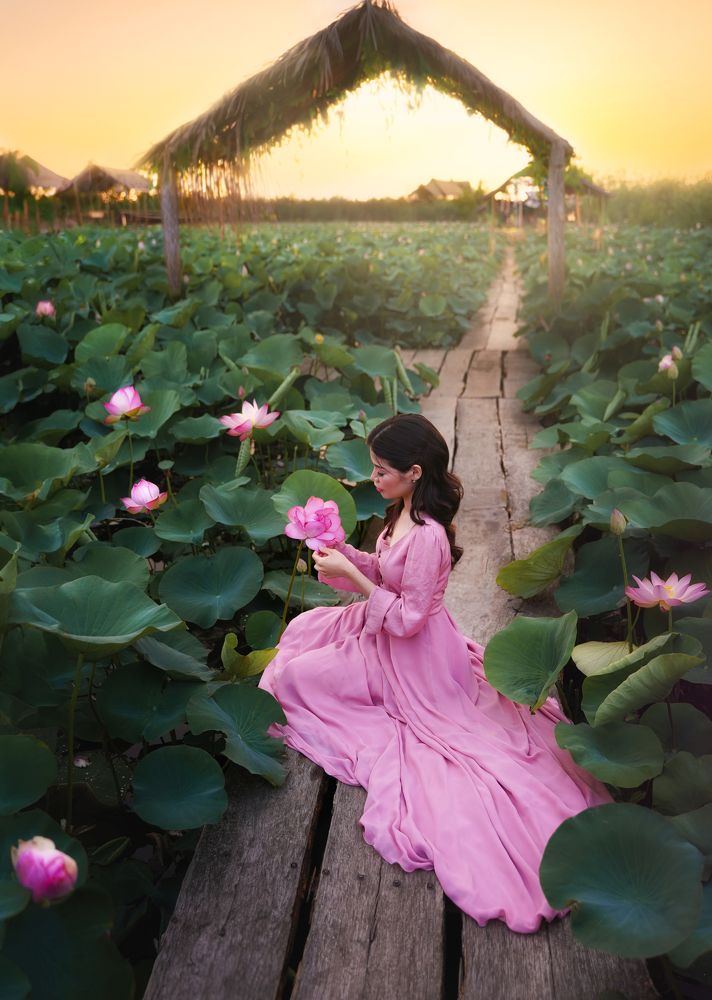 Lotuses