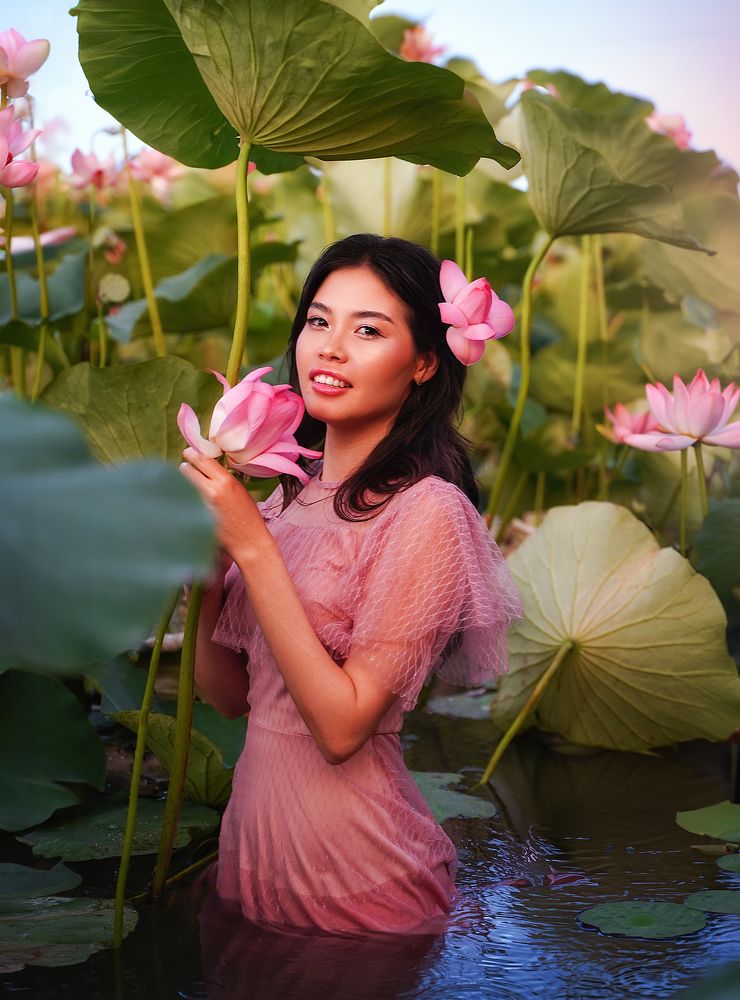 Lotuses