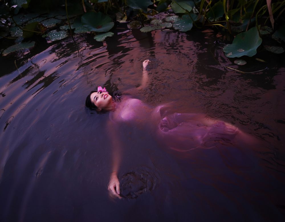 Lotuses
