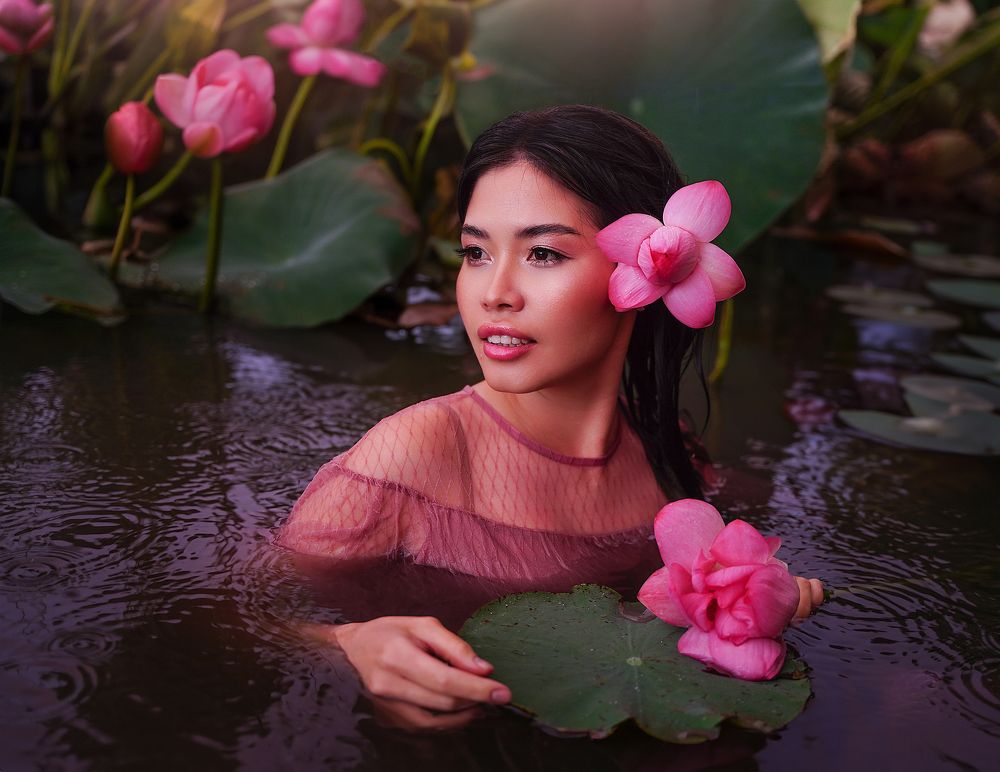 Lotuses