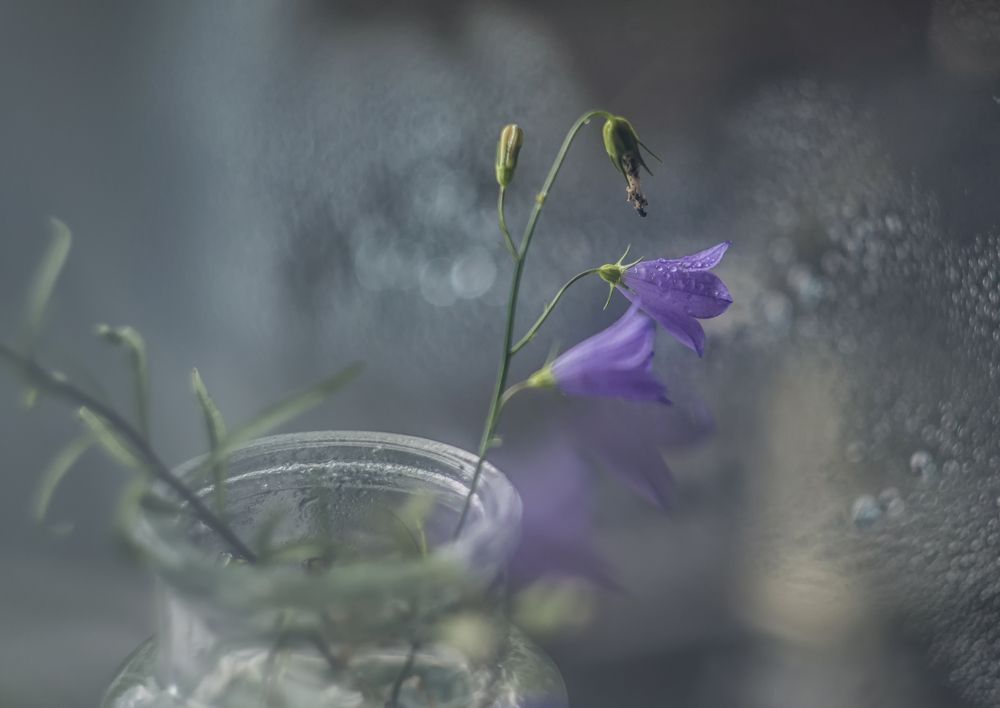 Photo 2674775
