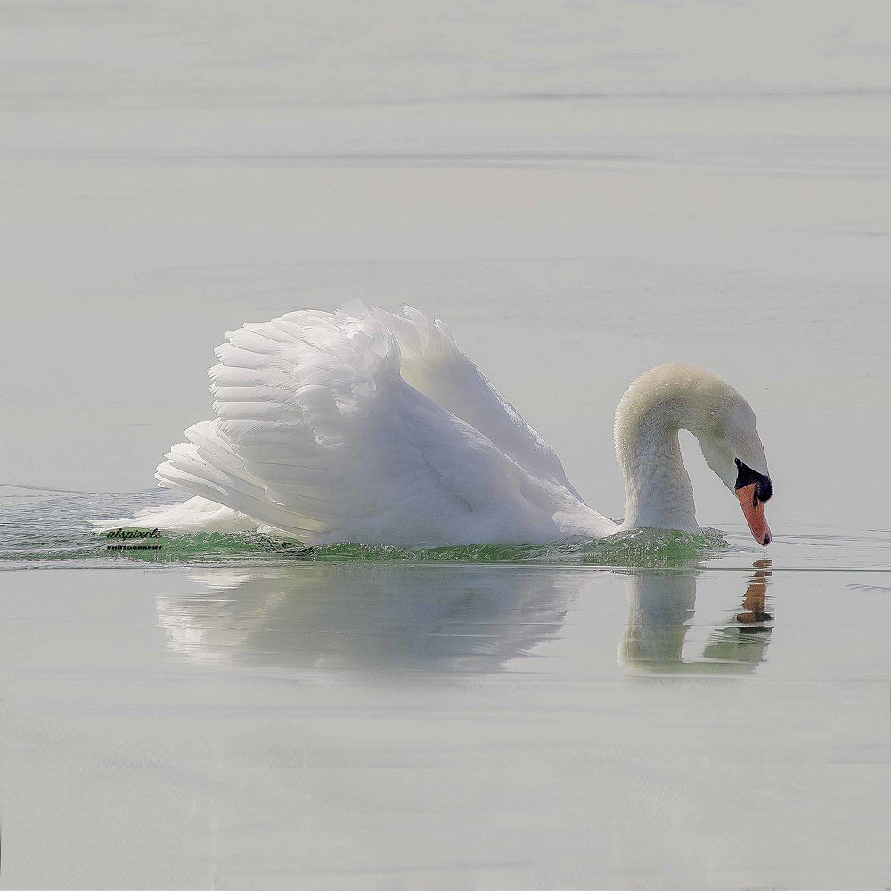 Move carefully in a icy water.