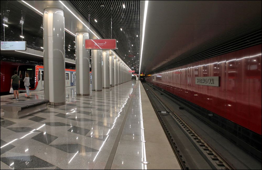 станция метро Некрасовка Москва