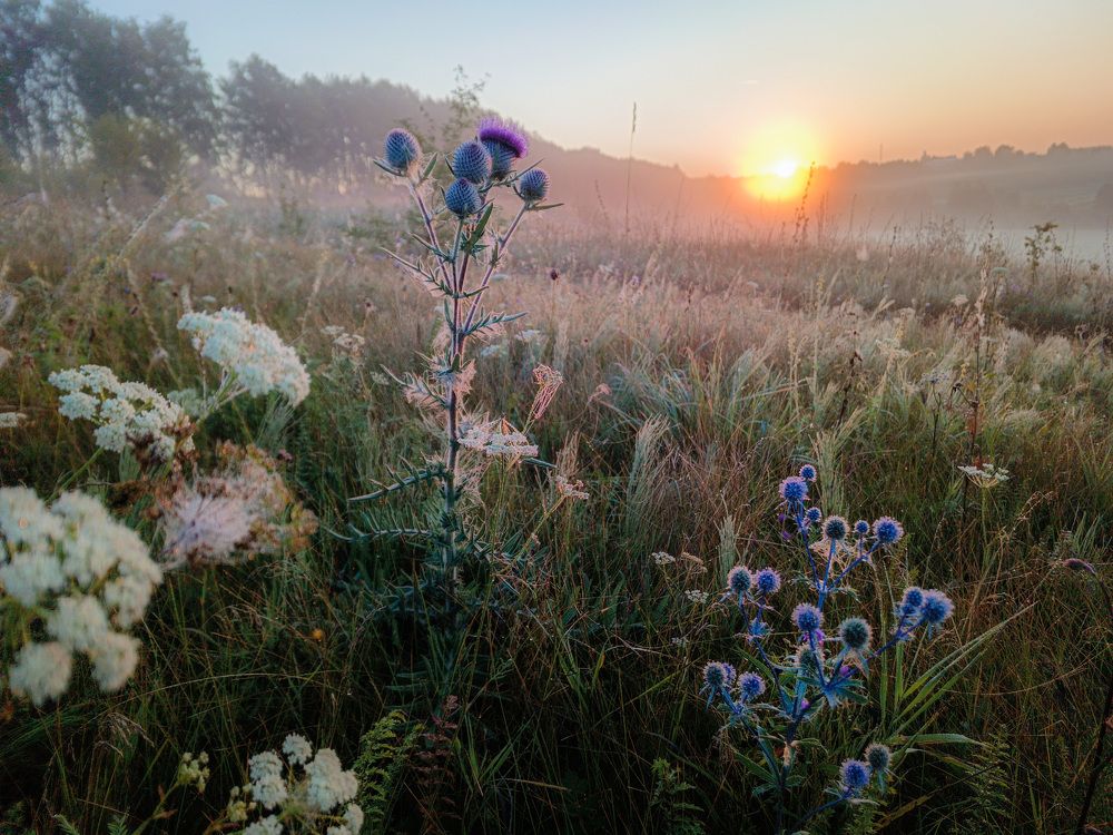 Photo 2675571