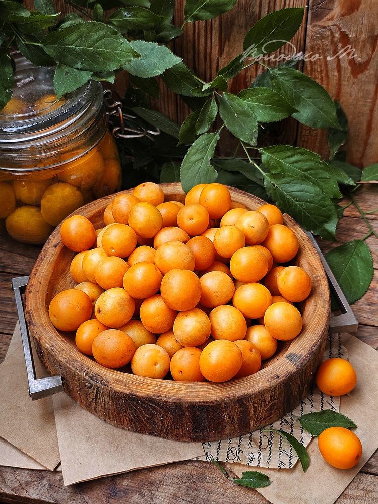 Закатки