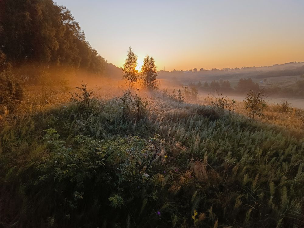 Photo 2676230