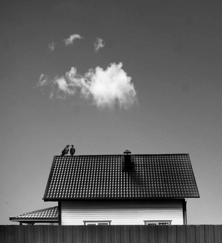 Photo 2678061