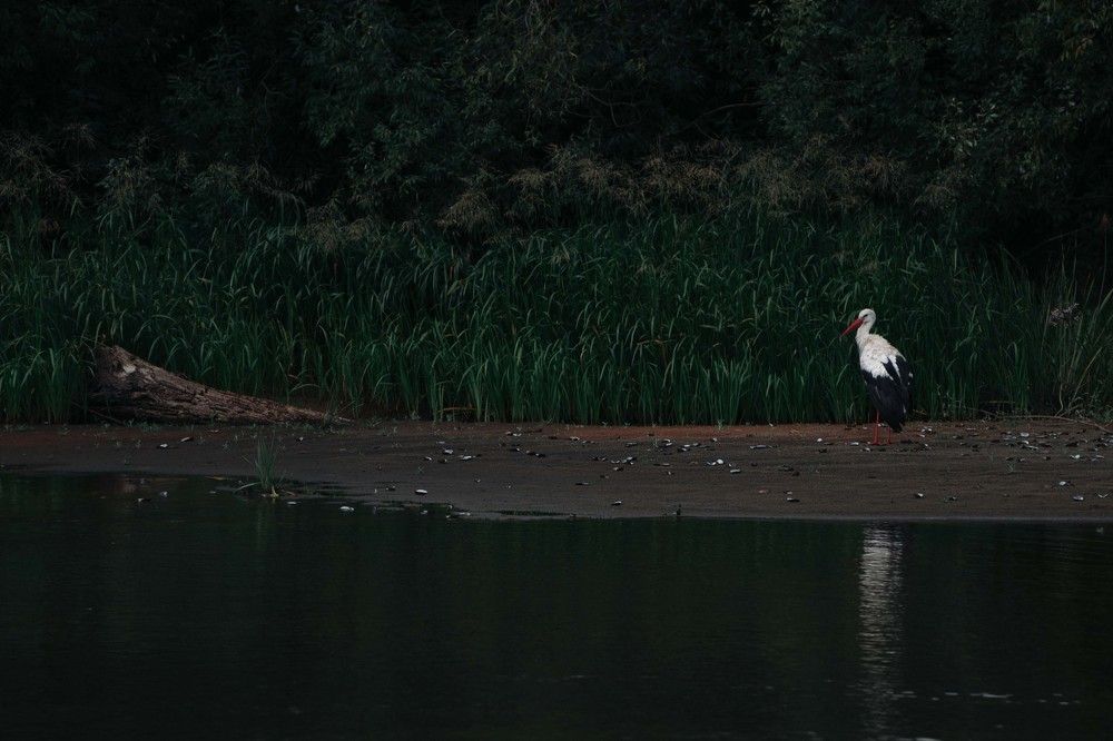 Photo 2678802