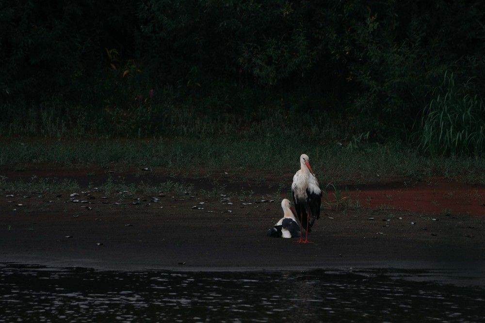 Photo 2678803