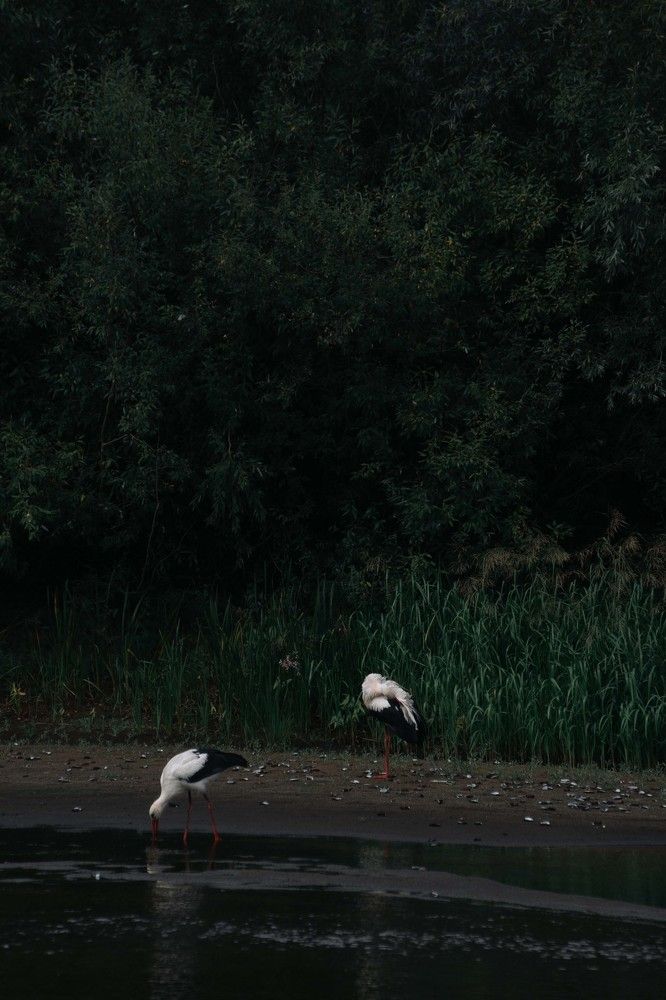 Photo 2678804