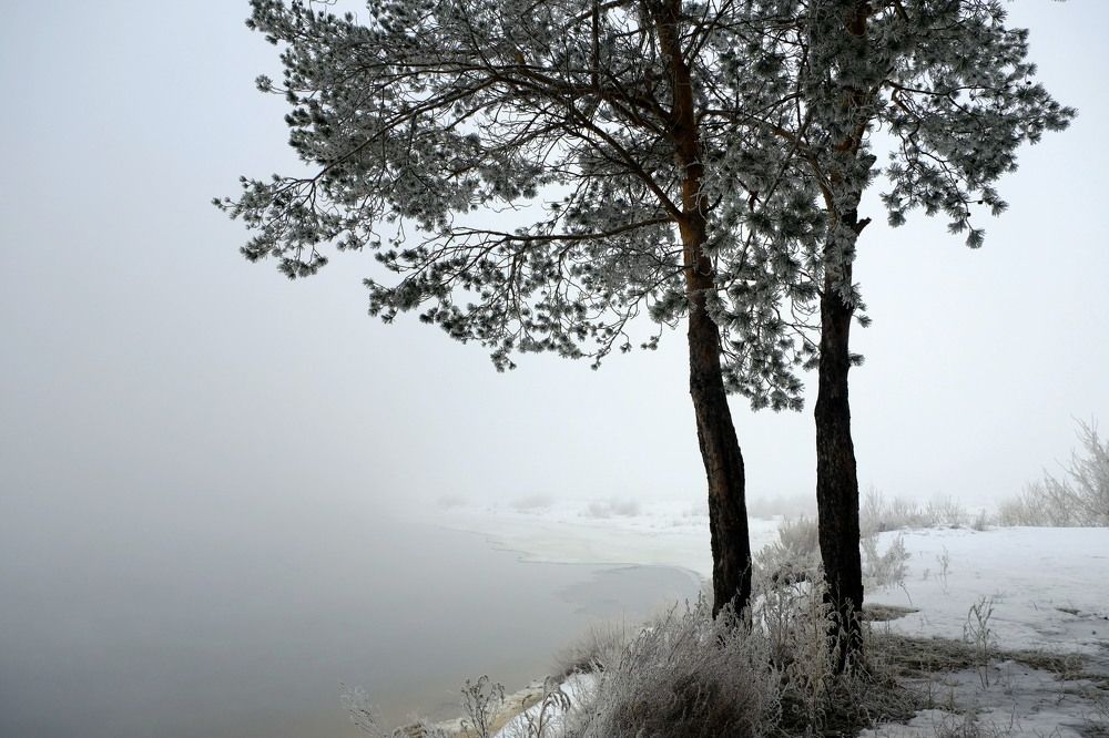 Photo 2678908